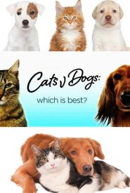 Cats v Dogs: Which Is Best?