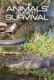 The Animals' Guide to Survival