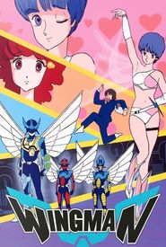 Dream Fighter Wingman