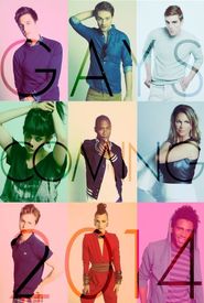 Gays: The Series