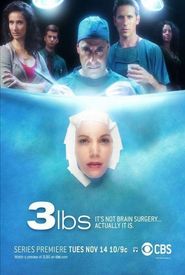 3 lbs.