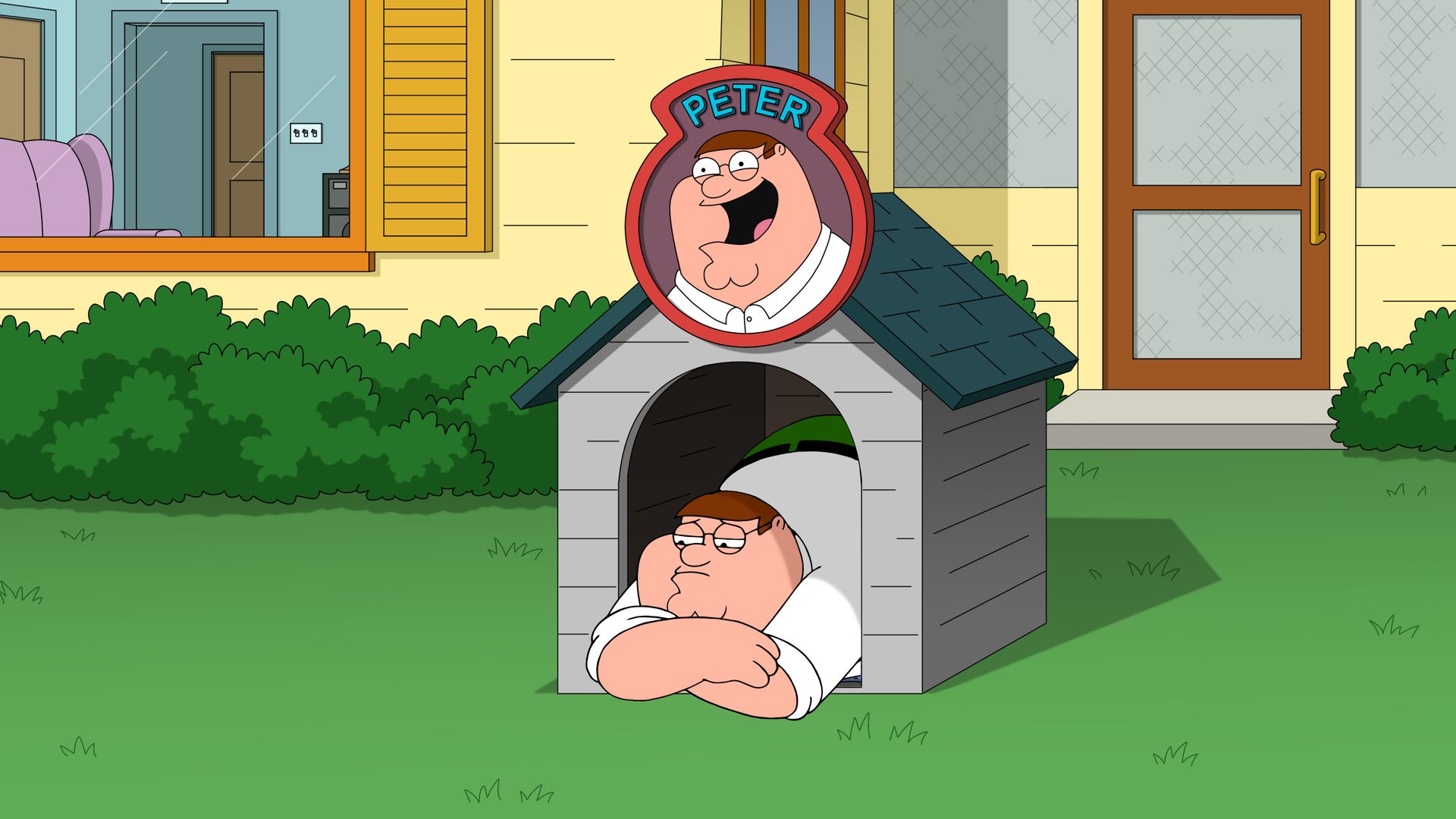 Family Guy background