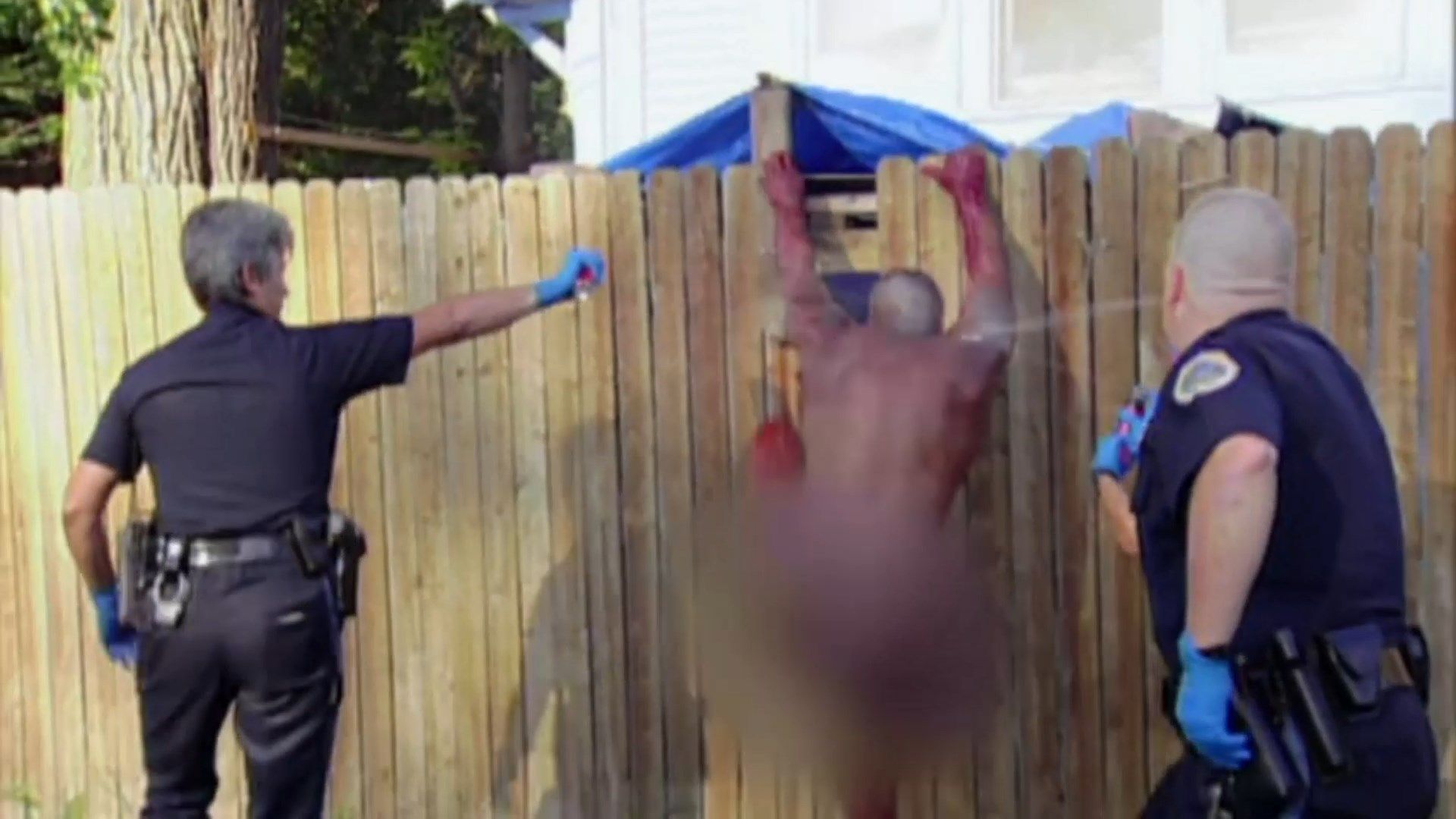 Cops background
