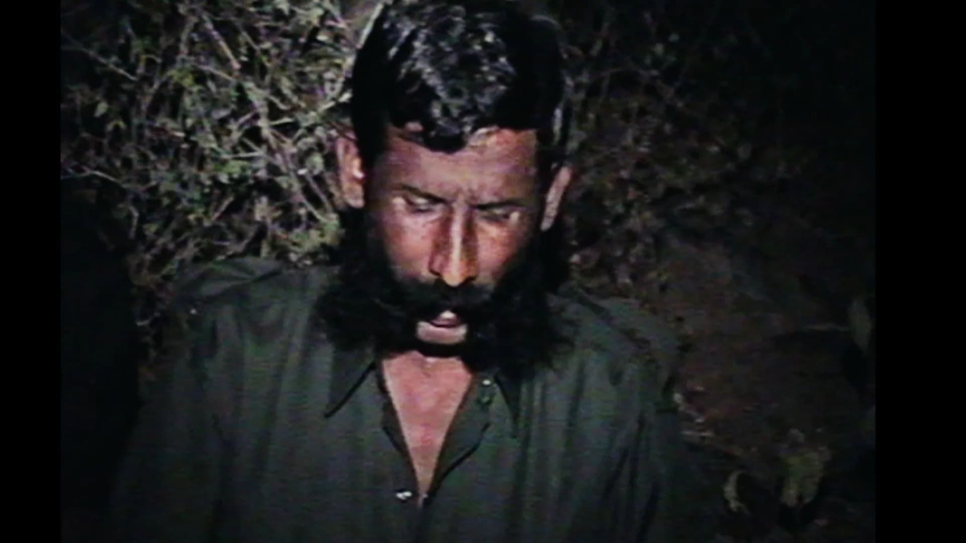 The Hunt for Veerappan background