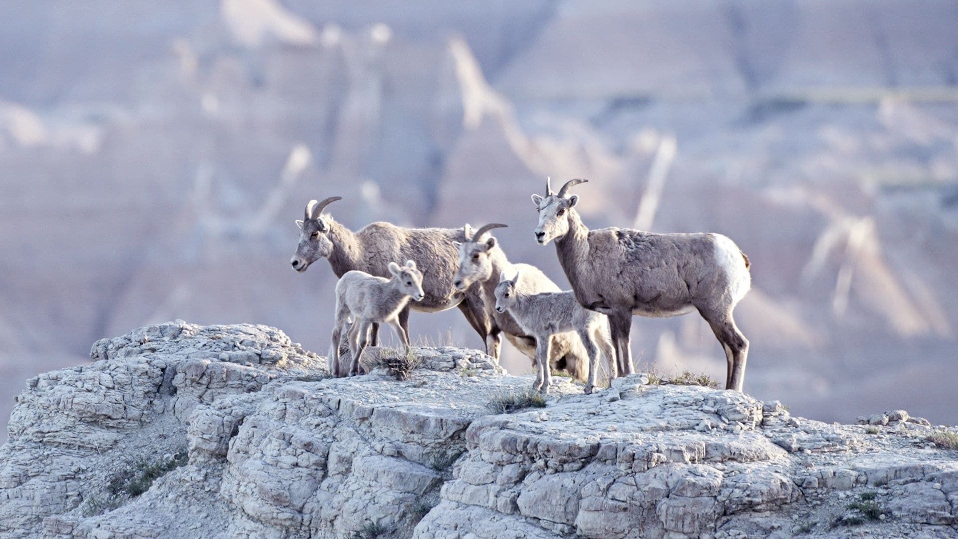 America's National Parks background