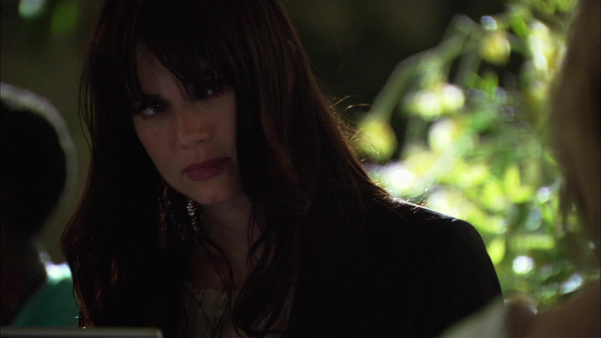 The L Word background