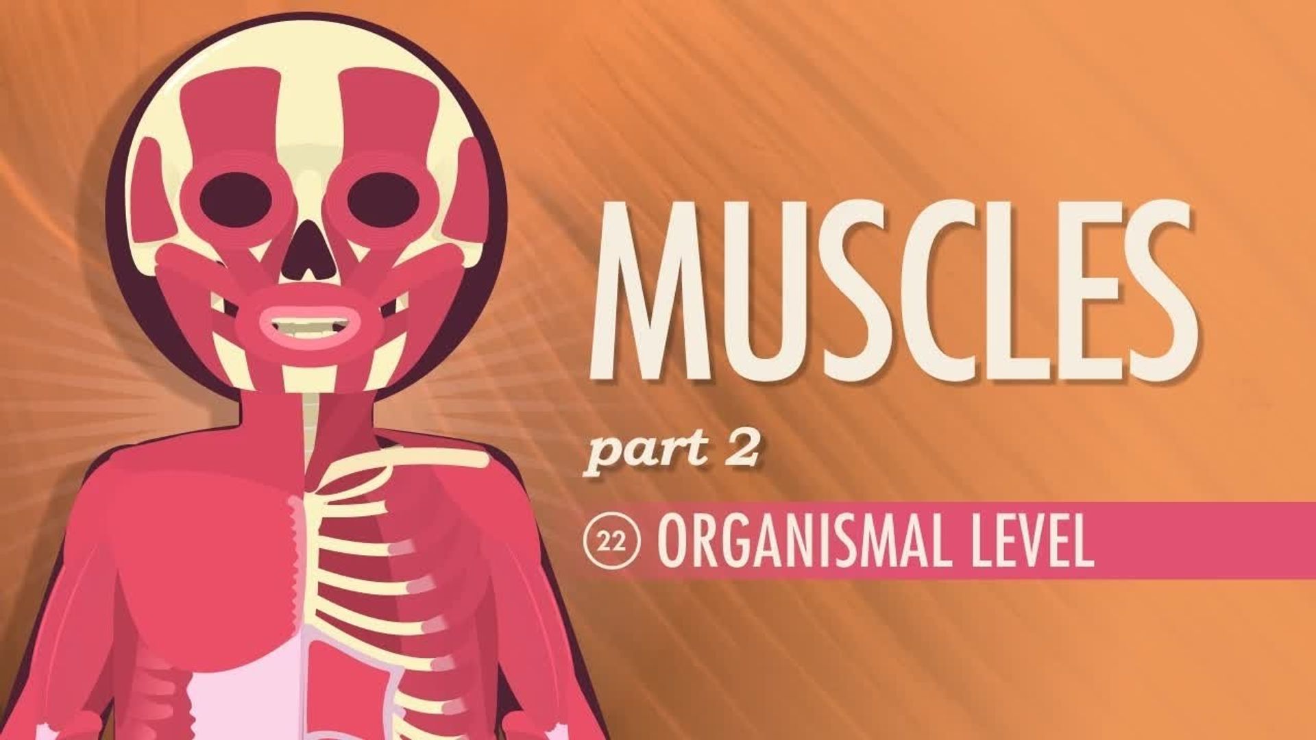 Crash Course: Anatomy & Physiology background