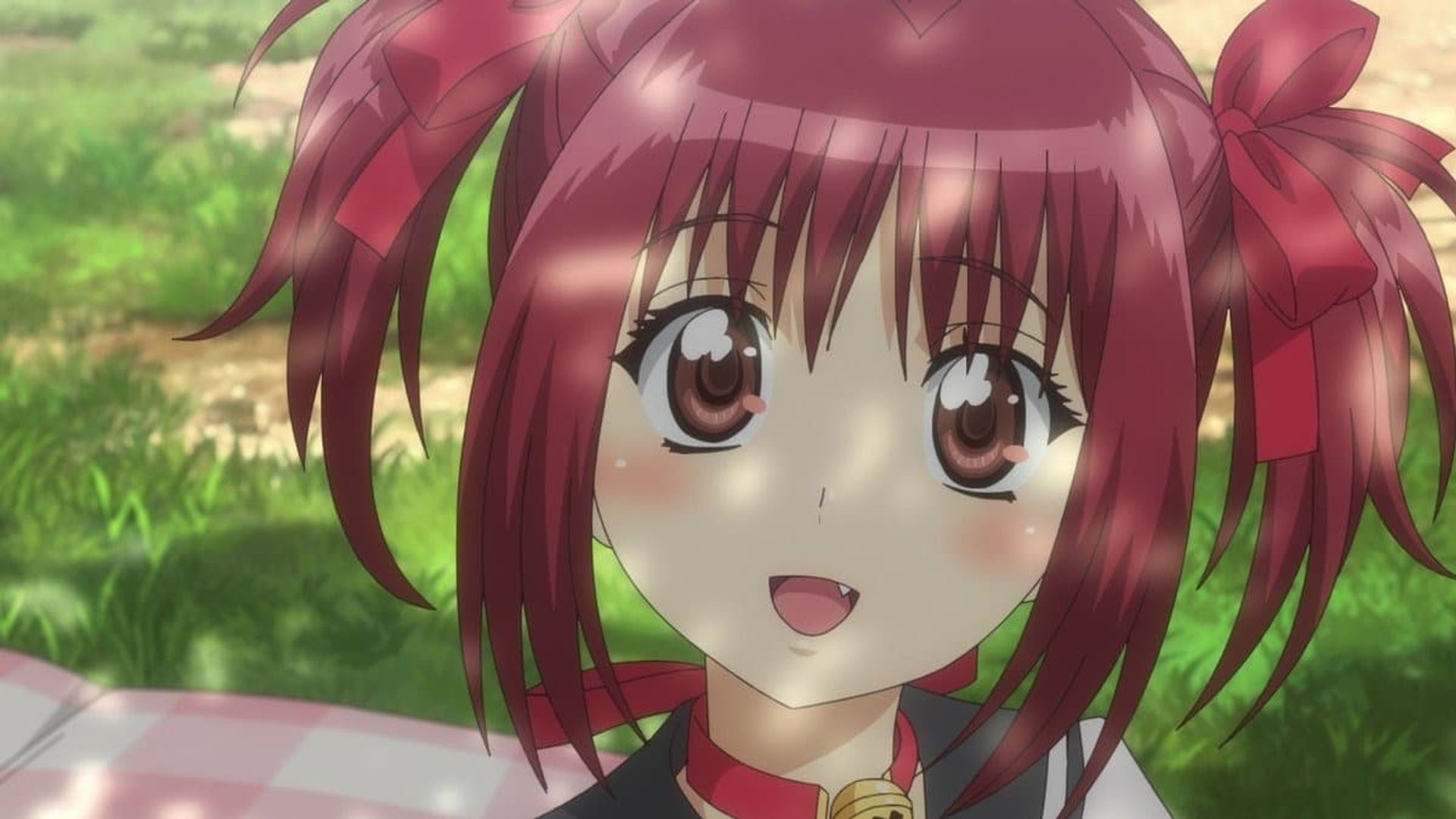Tokyo Mew Mew New background