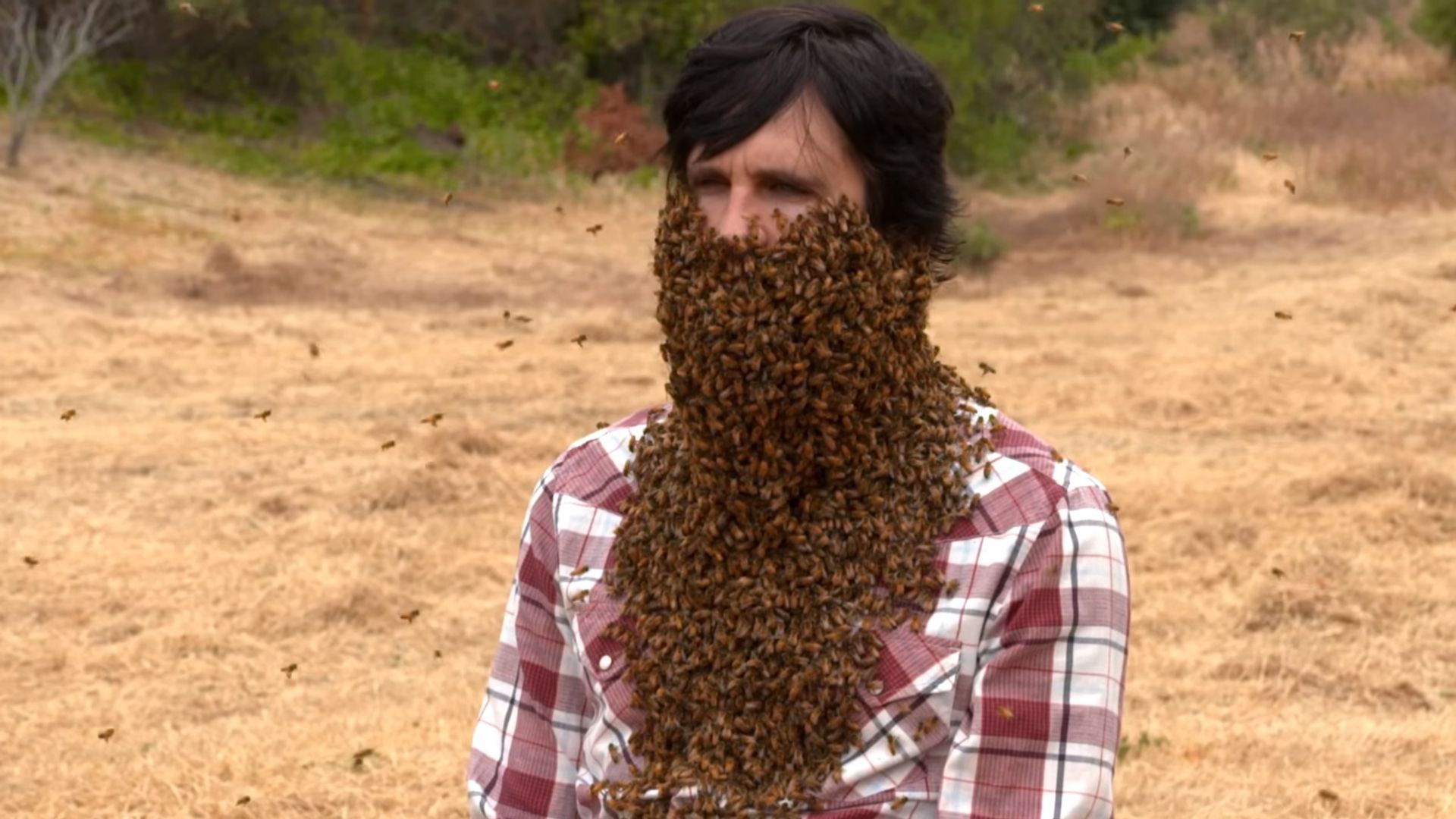 Good Mythical Morning background