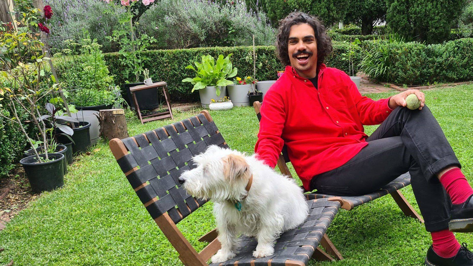 A Dog's World with Tony Armstrong background
