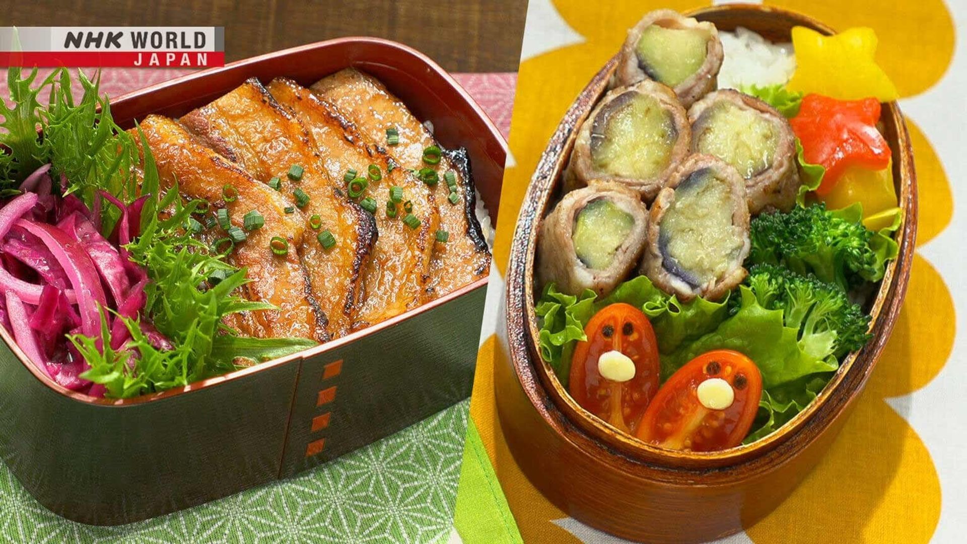 Bento Expo: The Global Lunchbox Project background