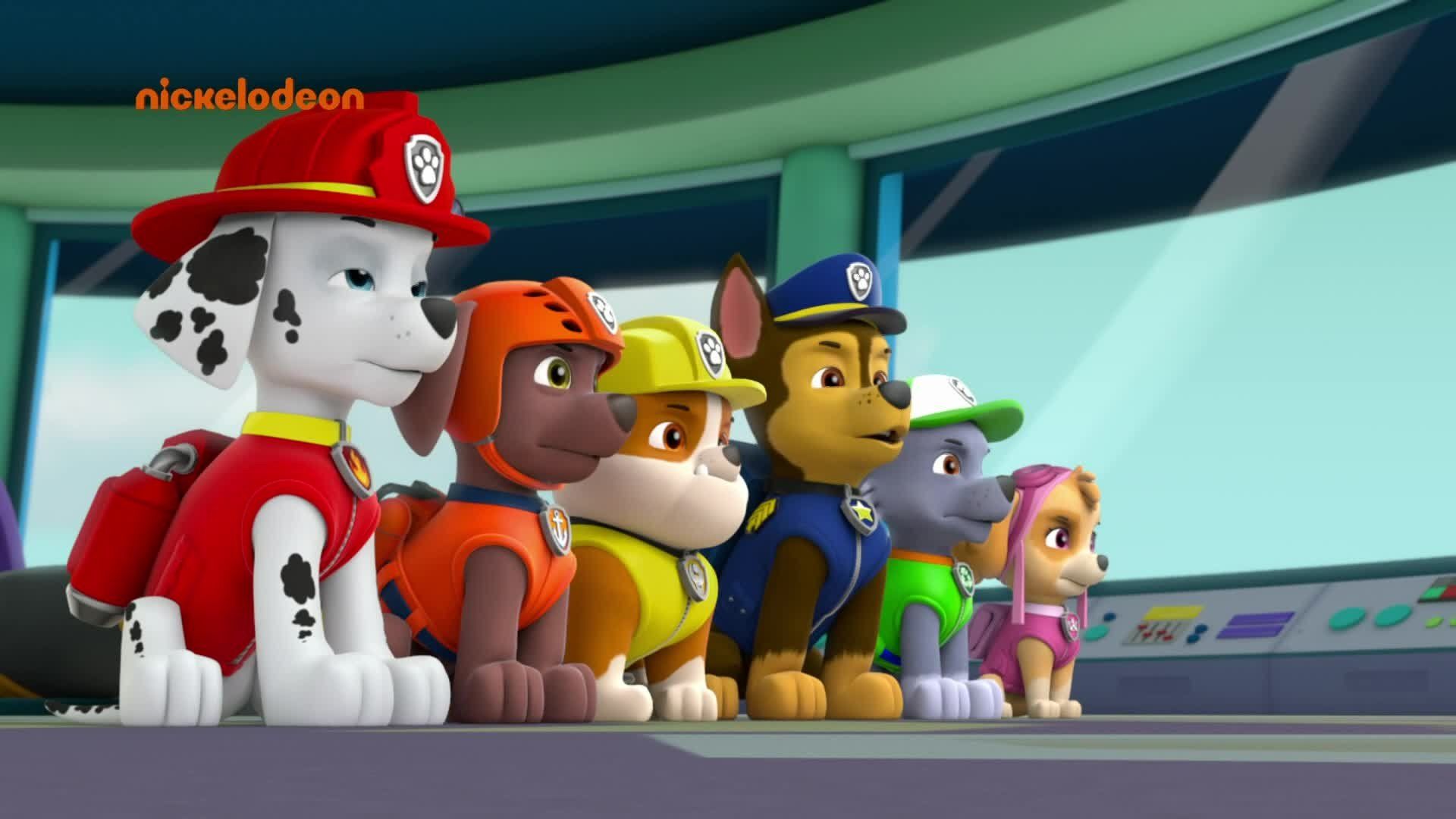 PAW Patrol background