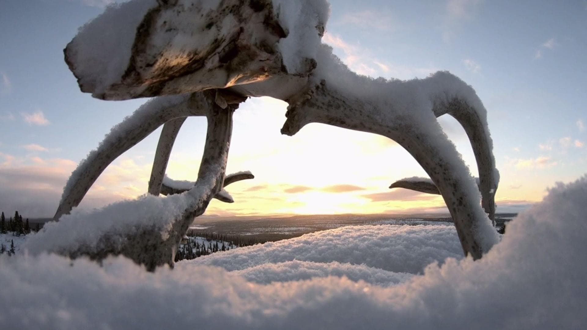 Life Below Zero: Next Generation background