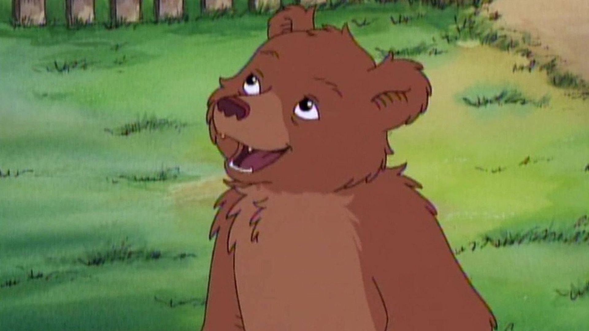 Little Bear background