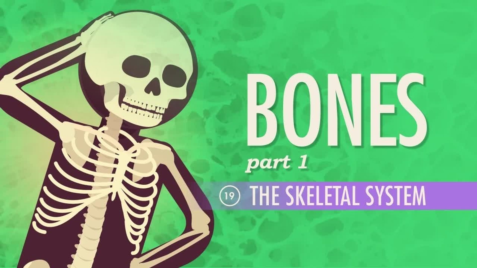 Crash Course: Anatomy & Physiology background
