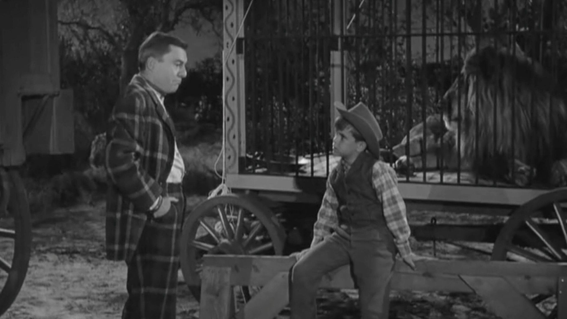Wagon Train background
