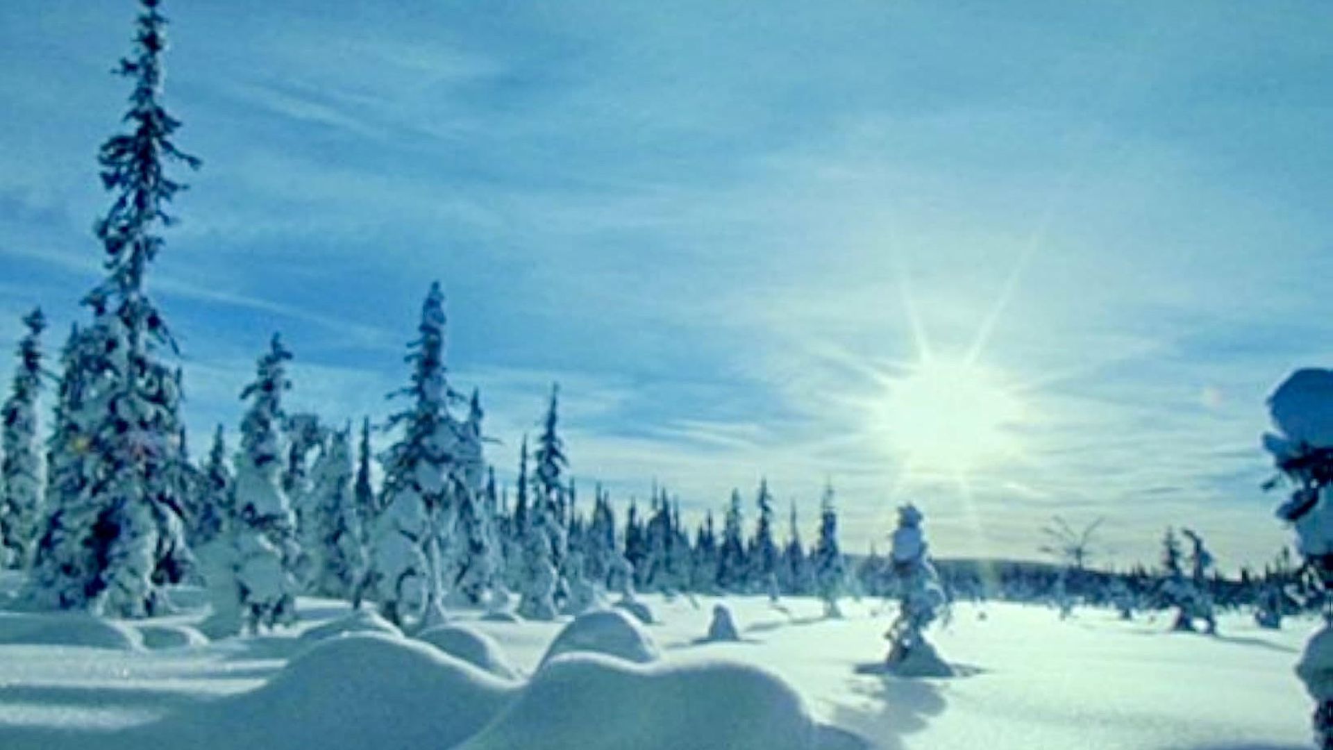 Wildest Arctic background