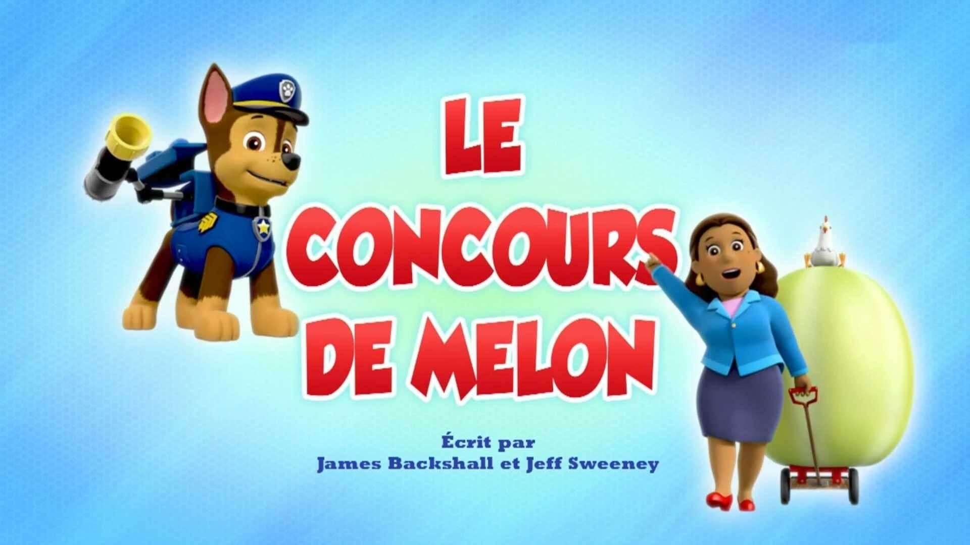 PAW Patrol background