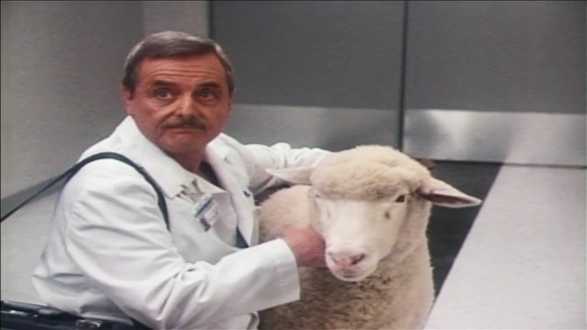 St. Elsewhere background