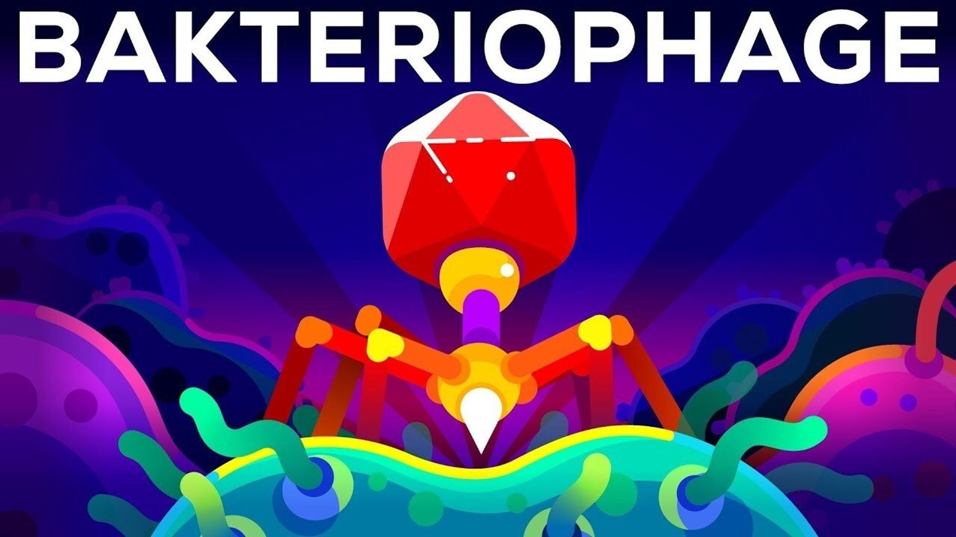 Kurzgesagt: In a Nutshell background