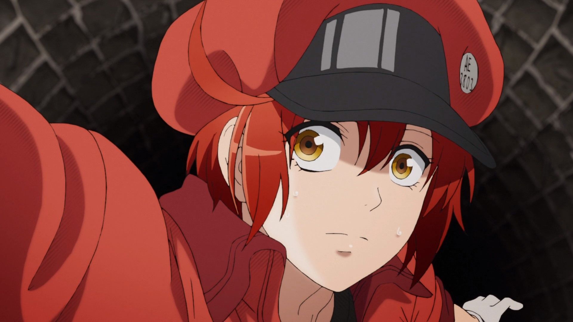 Cells at Work! background