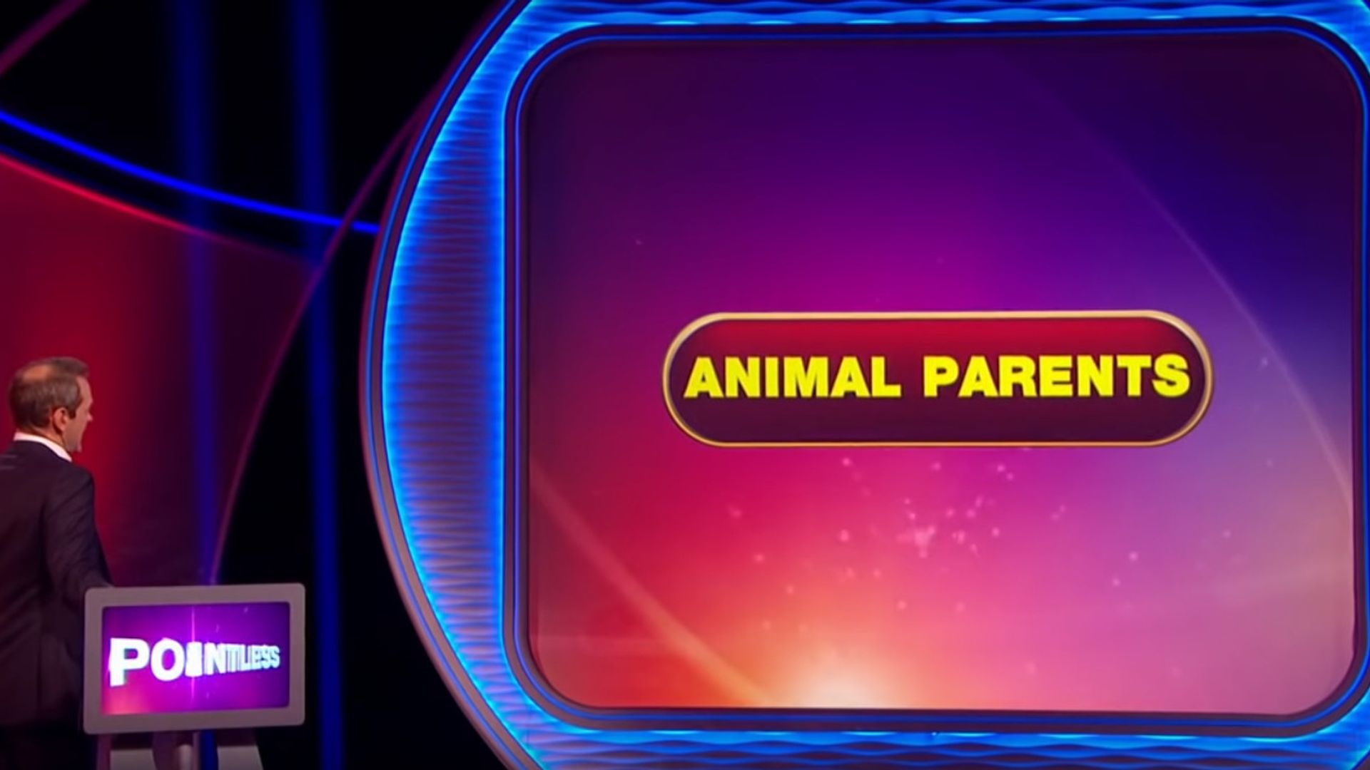 Pointless Celebrities background