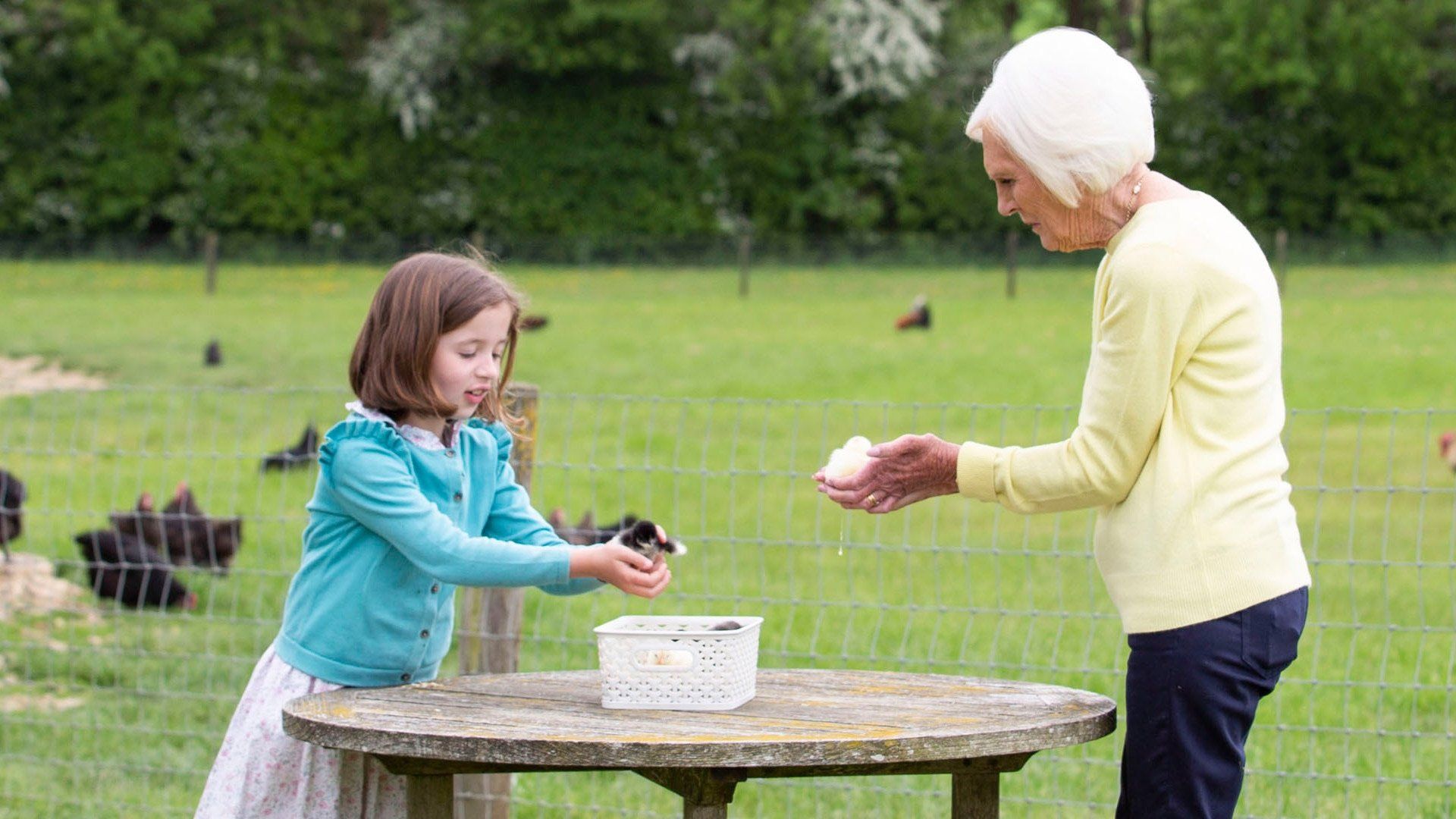 Mary Berry: Love to Cook background
