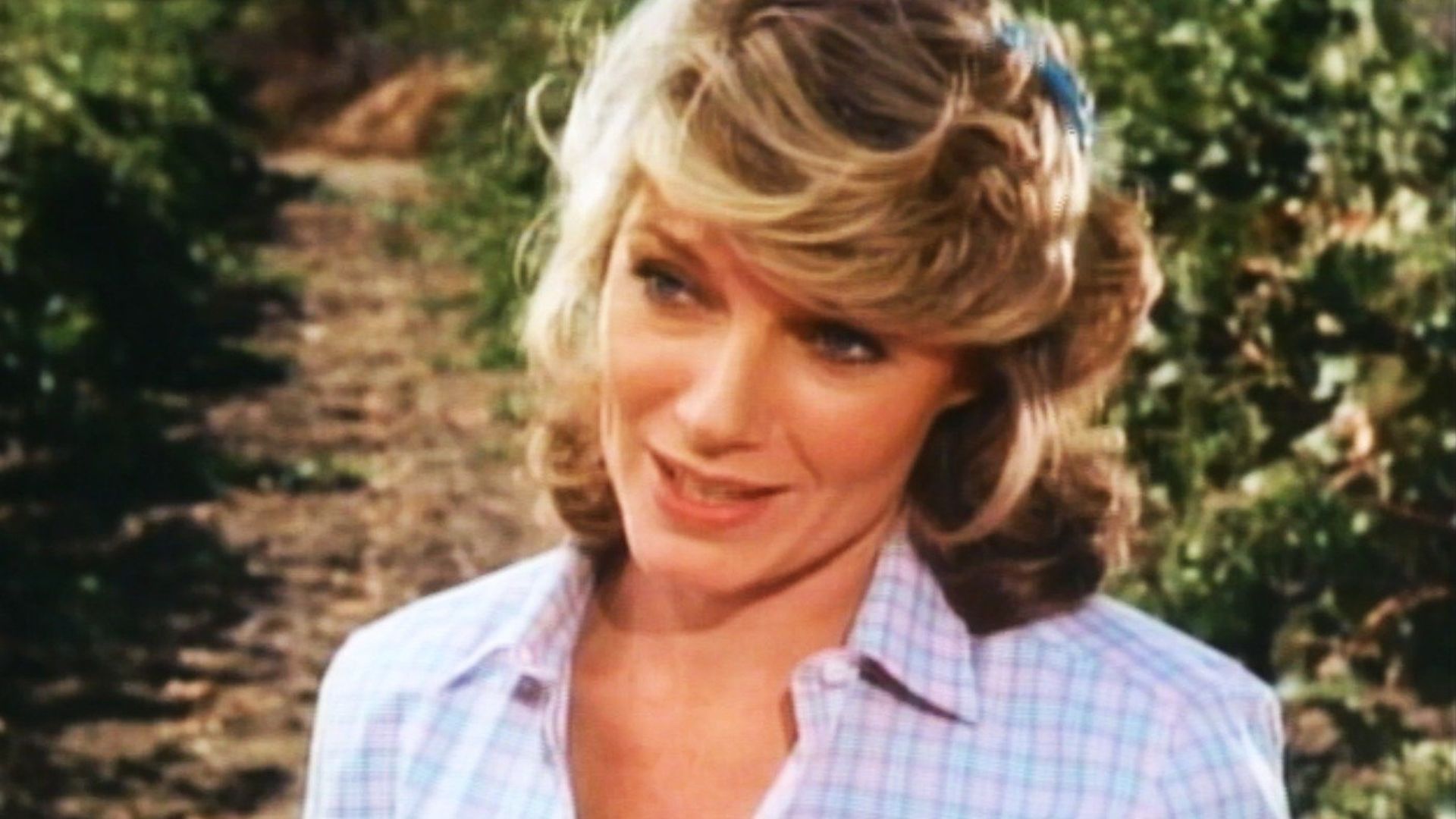 Falcon Crest background