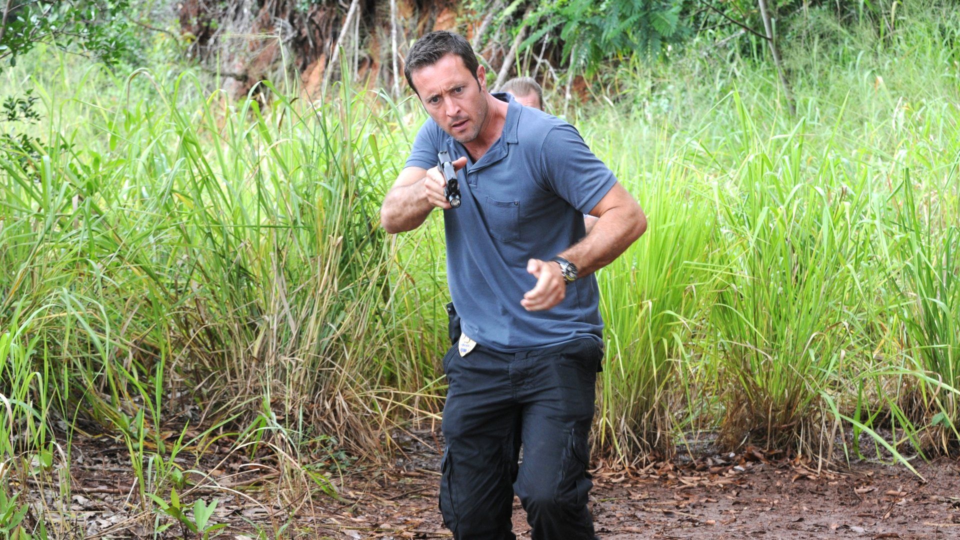 Hawaii Five-0 background