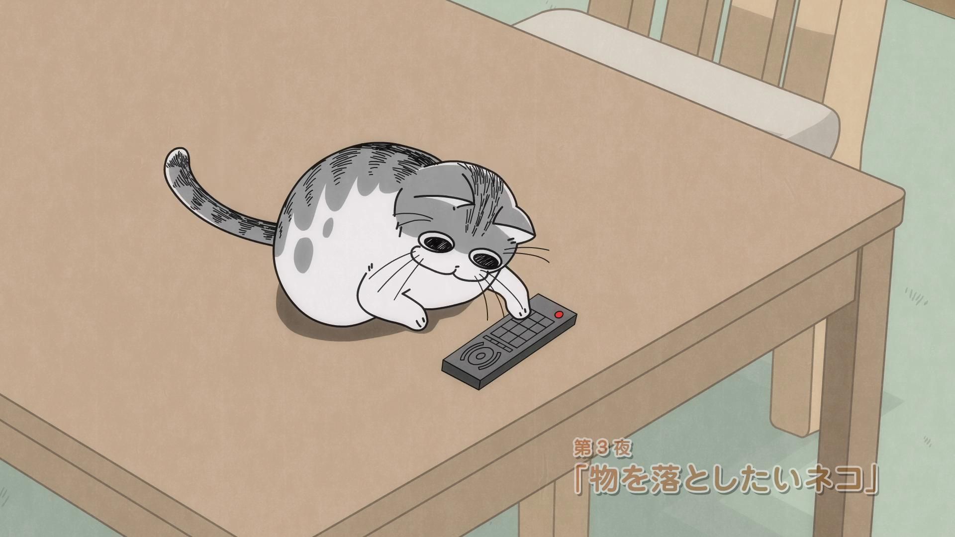 Yoru wa Neko to Issho background