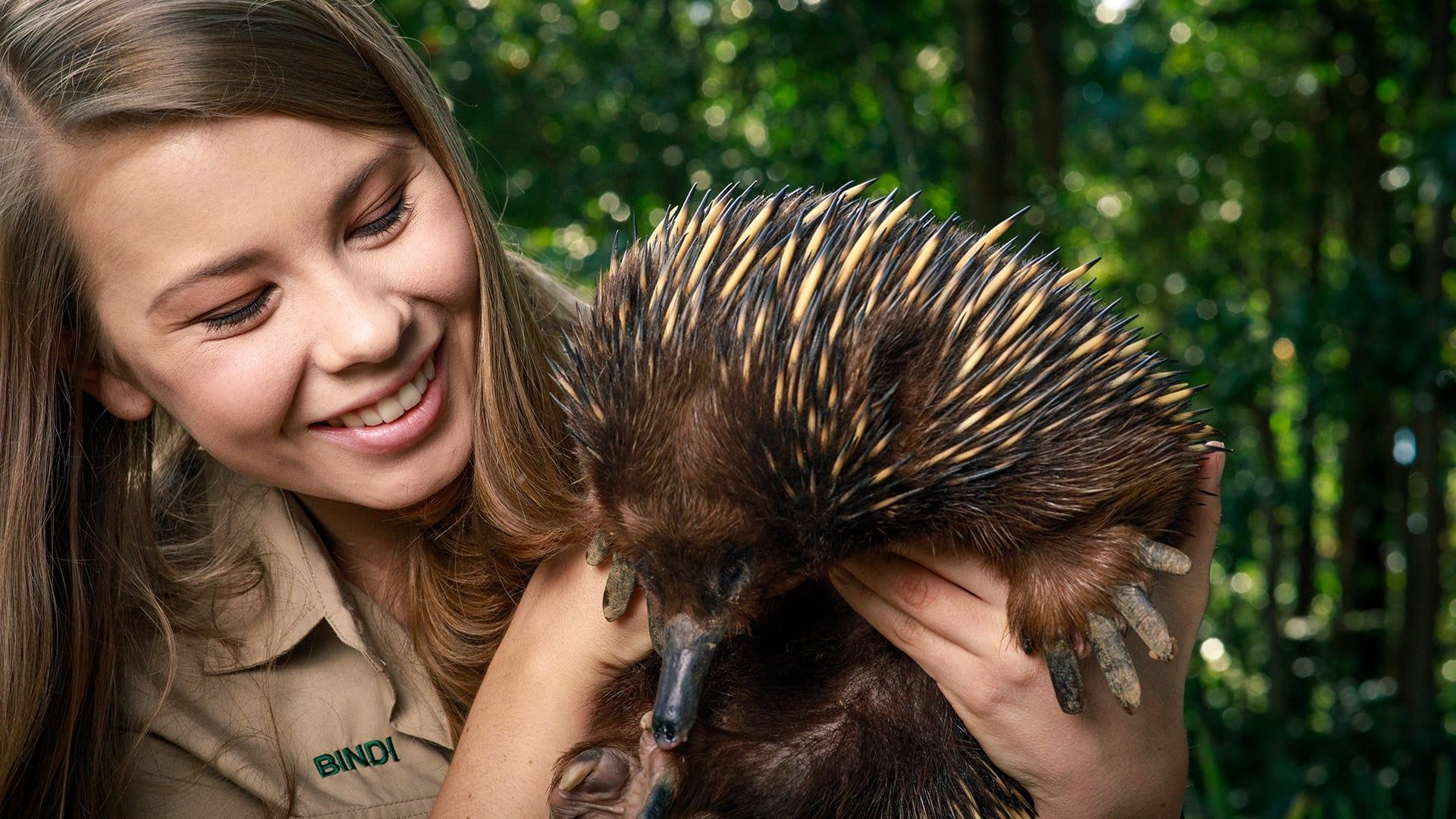 Crikey! It's the Irwins background