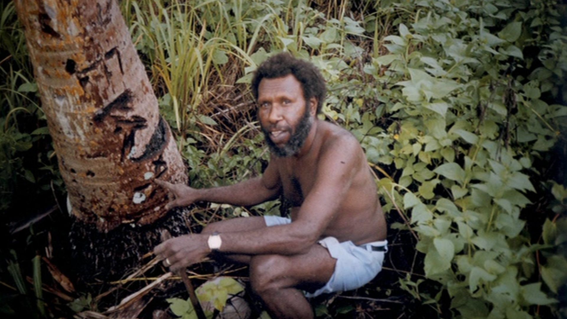 First Australians background