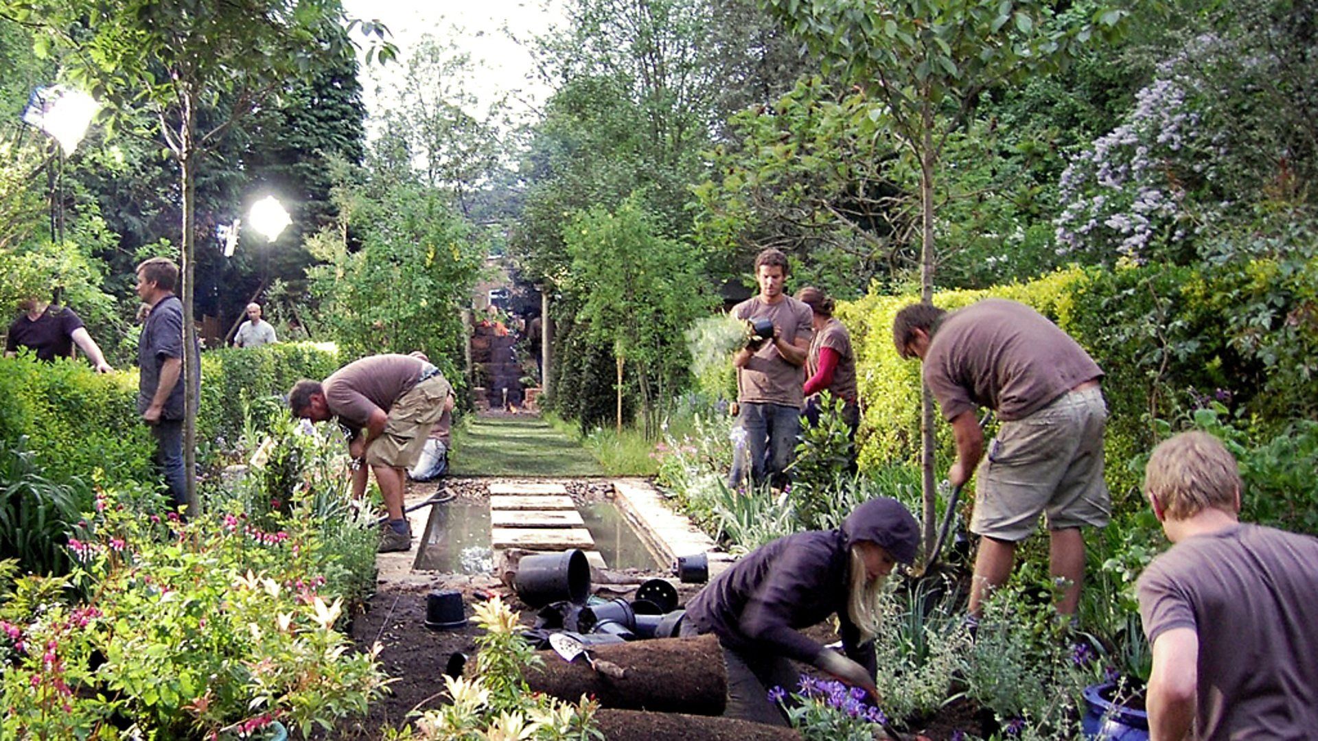 Wild About Your Garden background