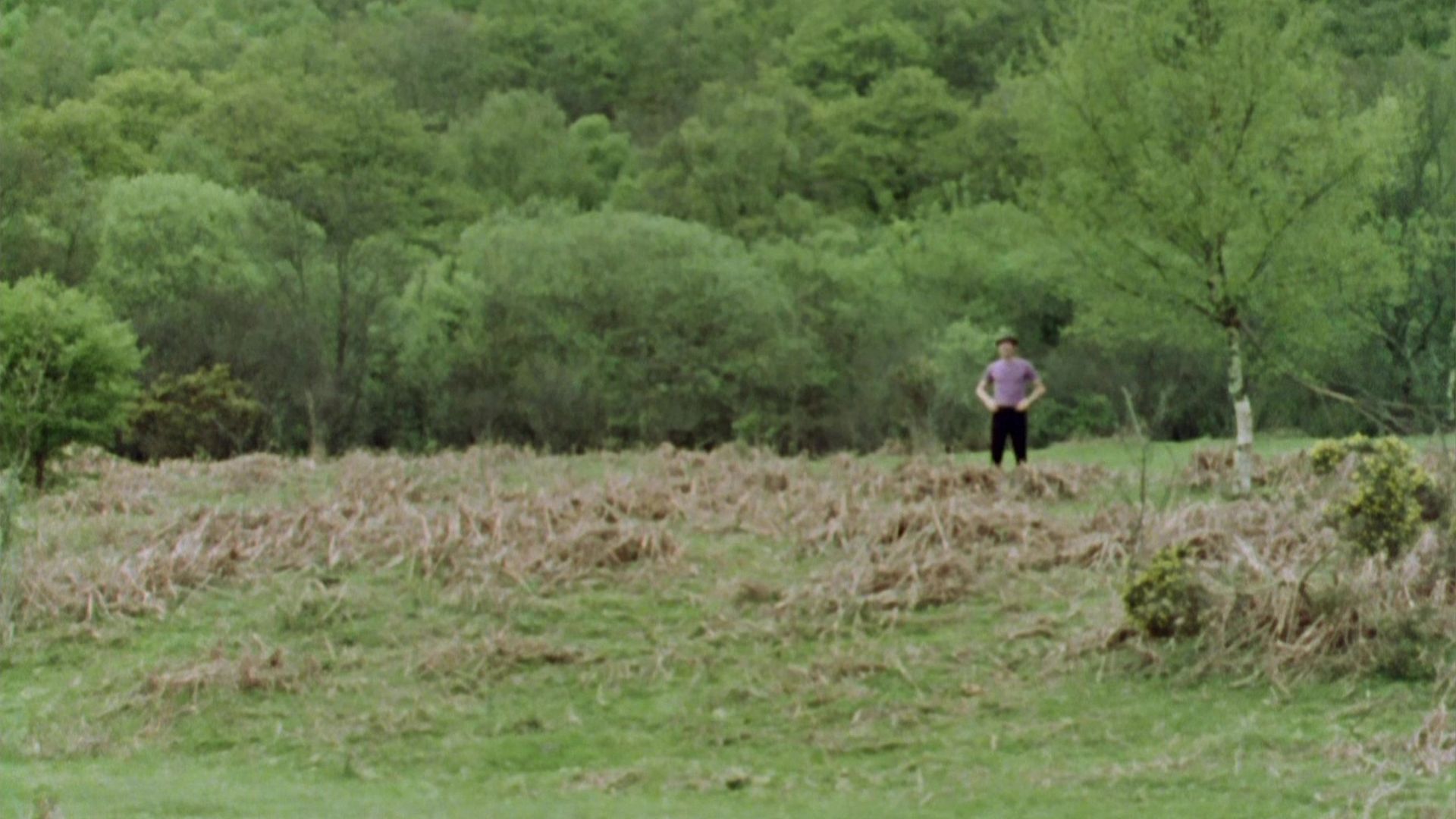 Monty Python's Flying Circus background
