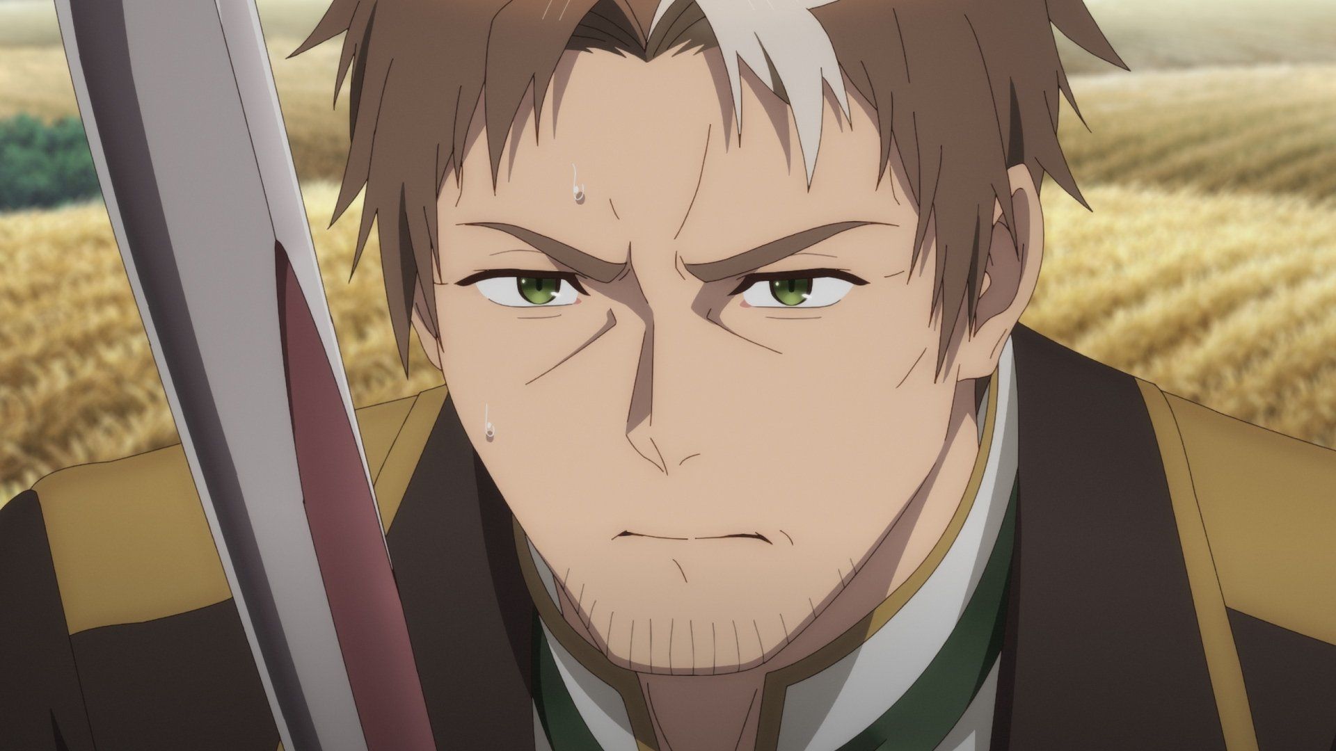 From Old Country Bumpkin to Master Swordsman background