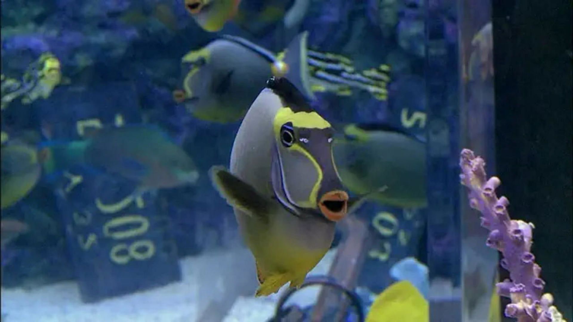 Tanked background