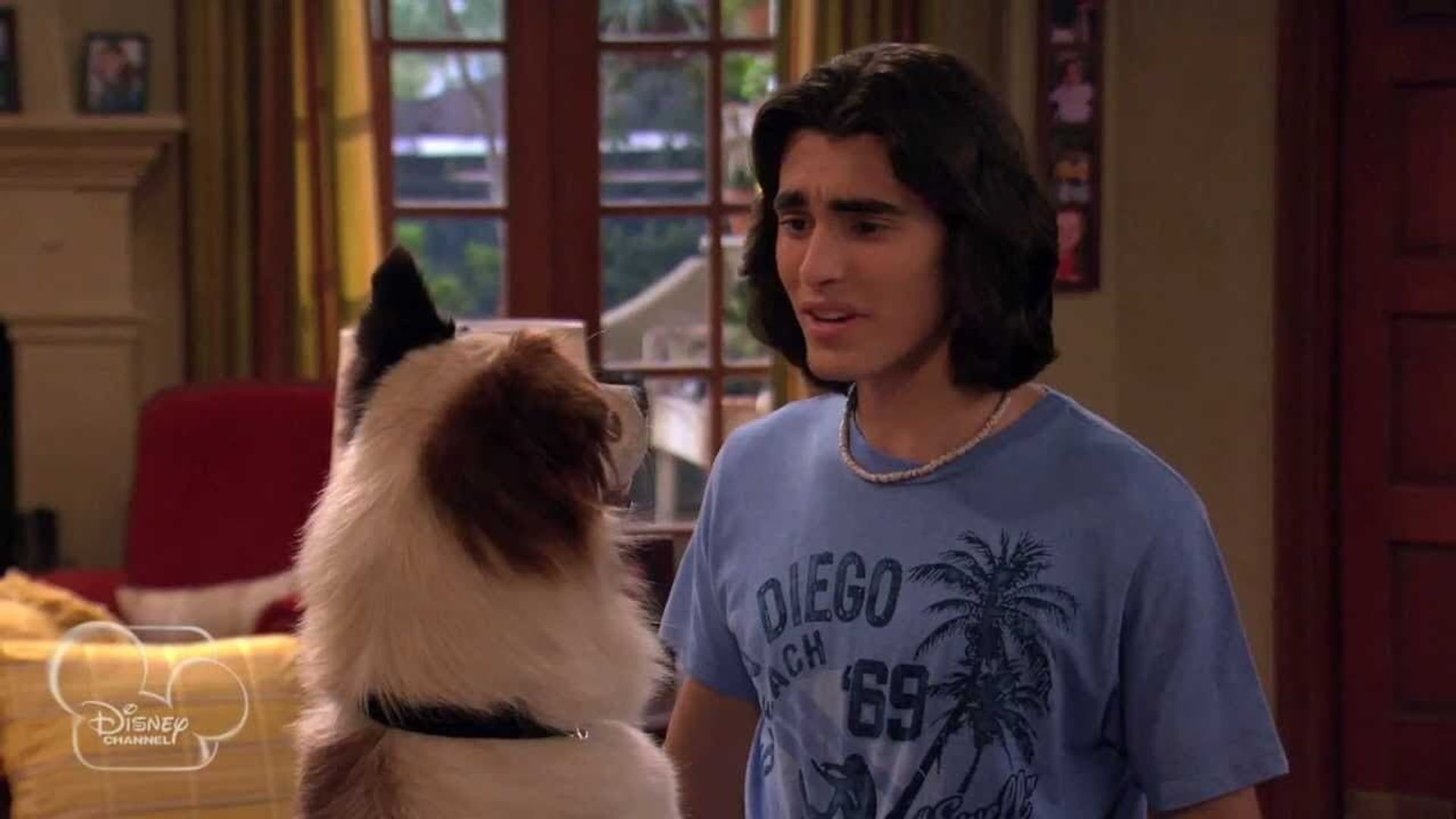 Dog with a Blog background