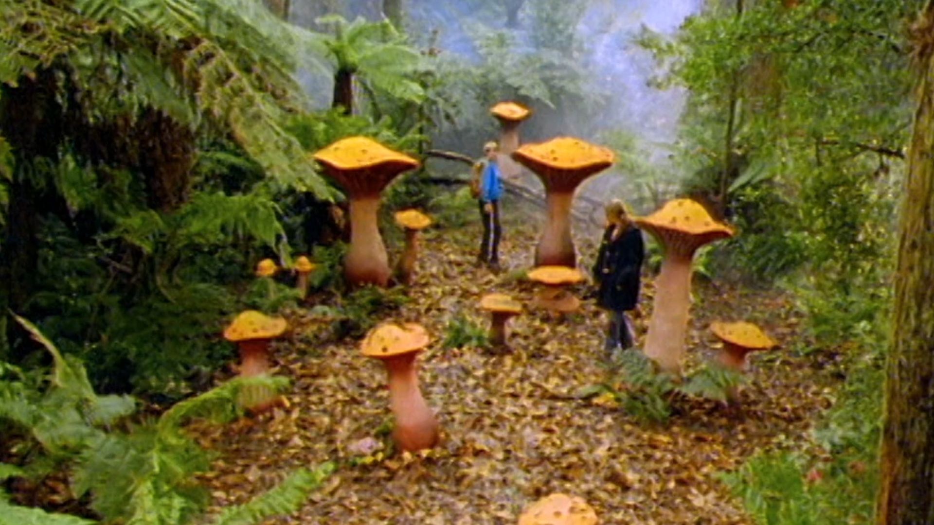 Round the Twist background