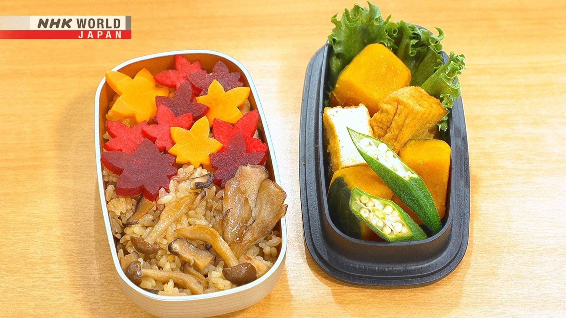 Bento Expo: The Global Lunchbox Project background