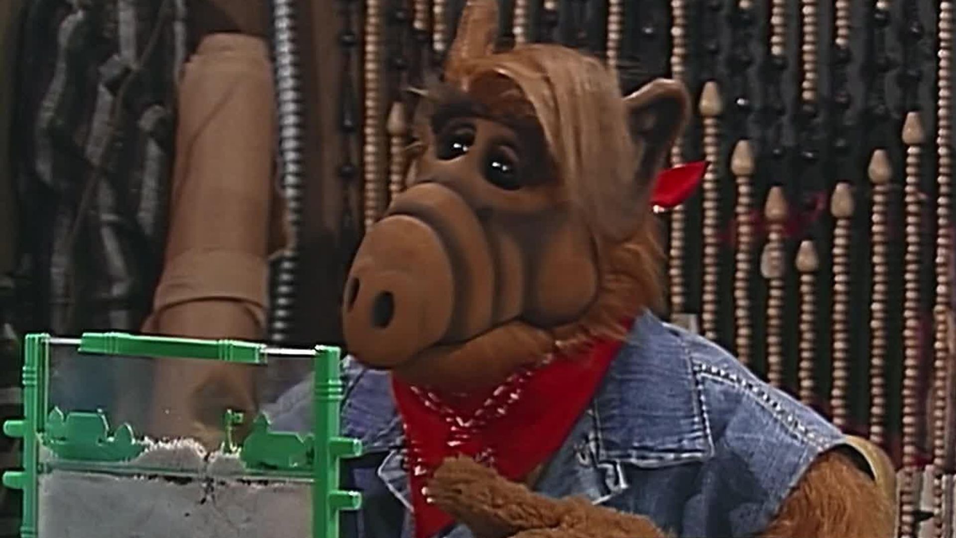 ALF background