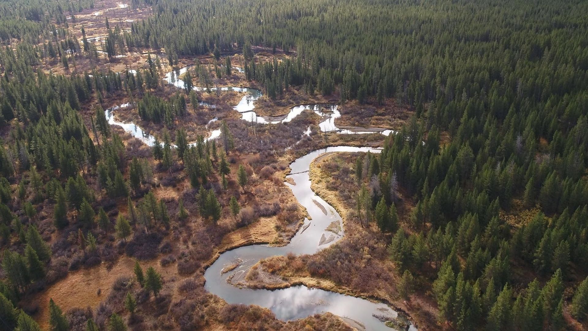 Earth's Great Rivers background
