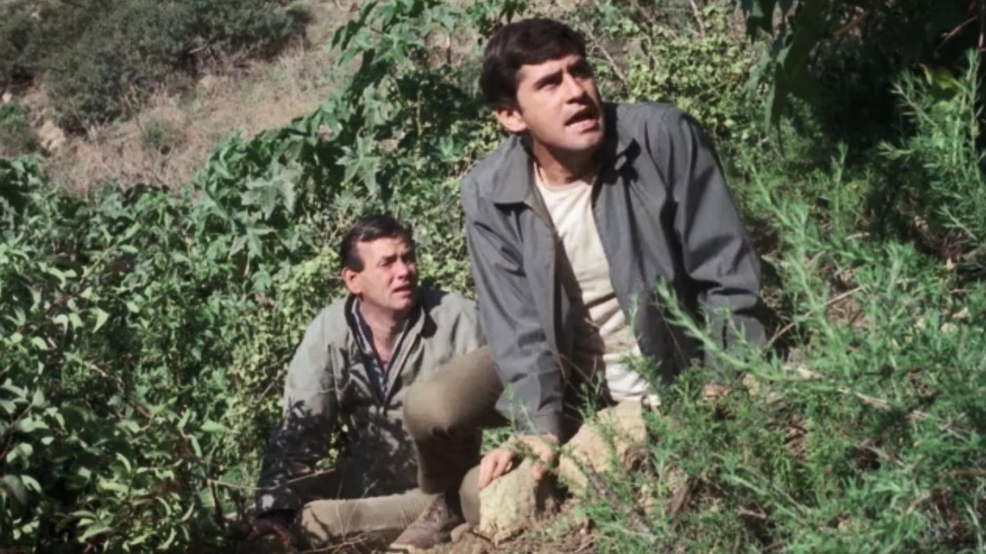 The Fugitive background