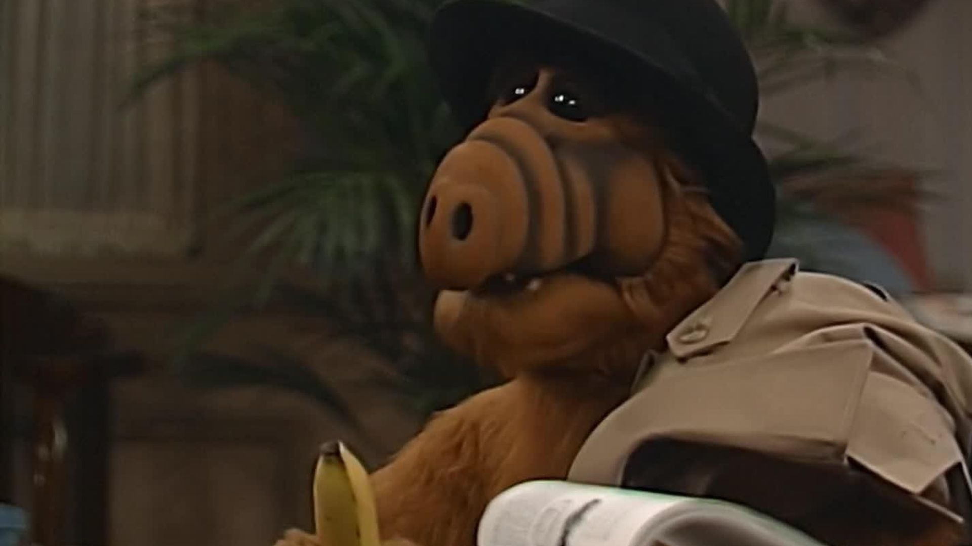 ALF background