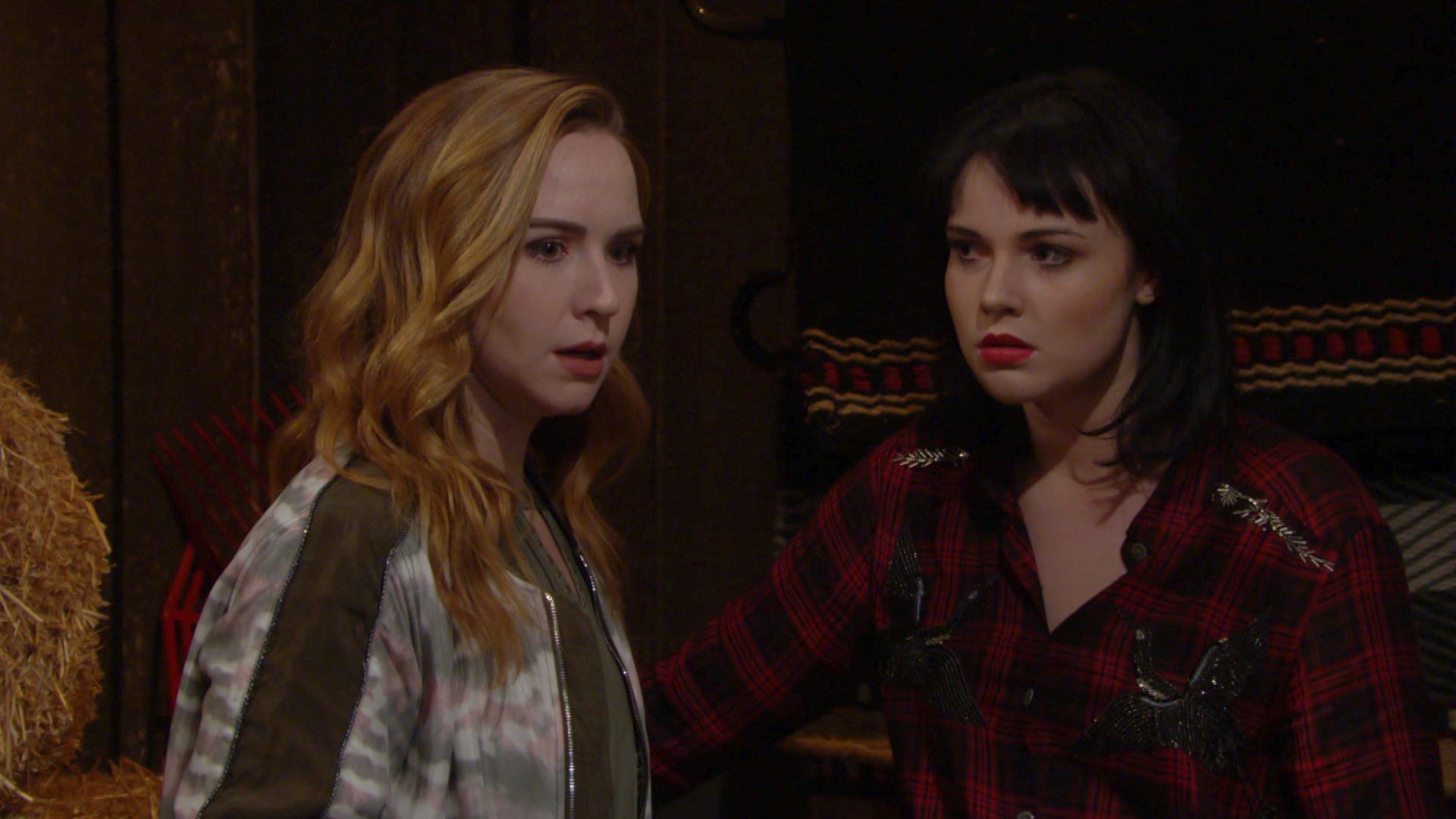 The Young and the Restless background