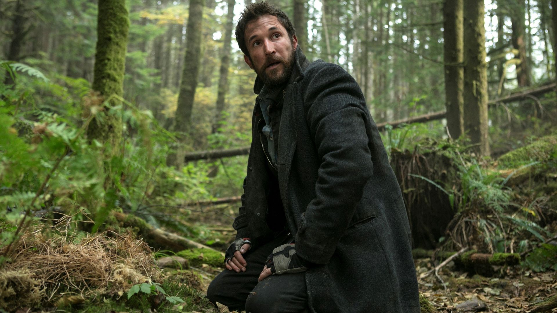 Falling Skies background