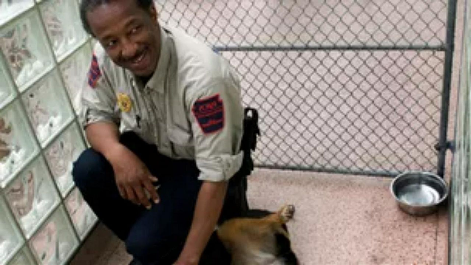 Animal Cops: Philadelphia background