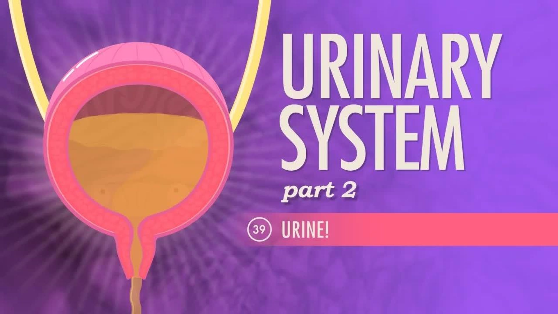 Crash Course: Anatomy & Physiology background