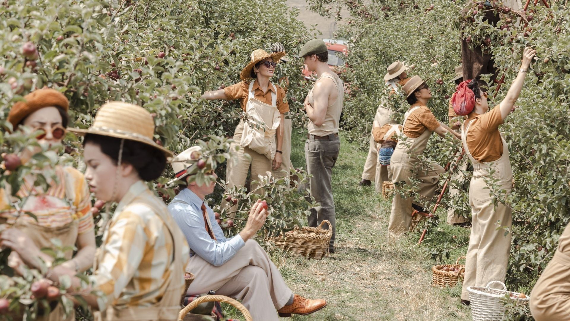 While the Men are Away background