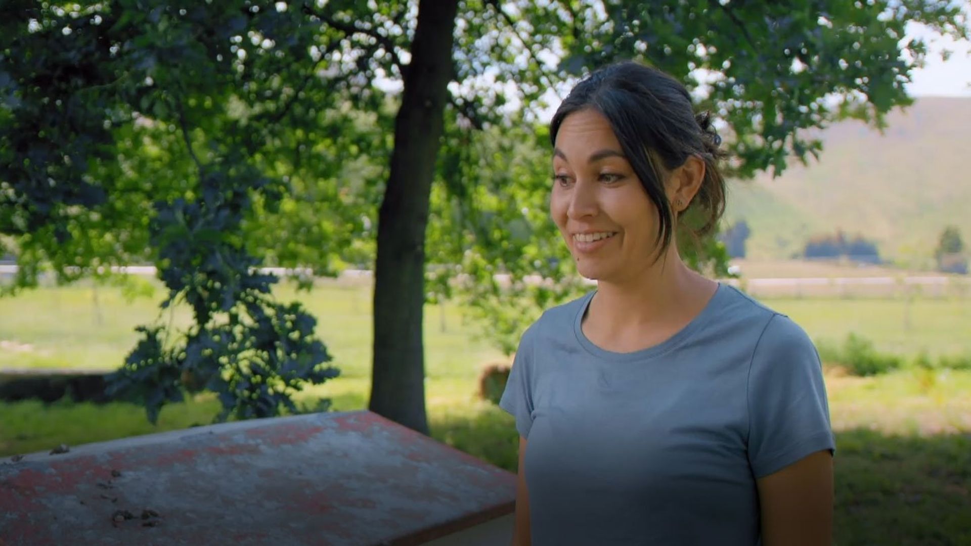 Nadia's Farm background