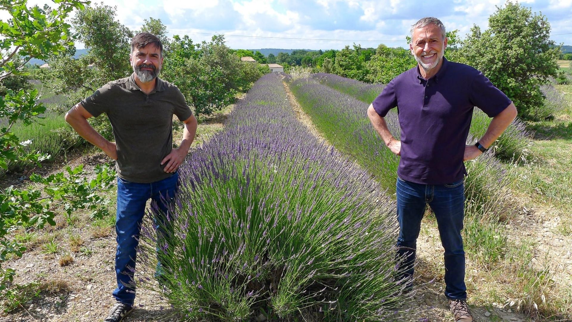 Michel Roux's French Country Cooking background